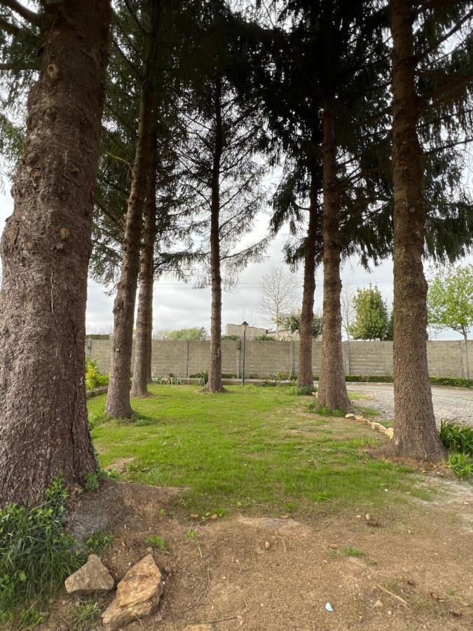 Mar De Frisia Otel O Pino Dış mekan fotoğraf